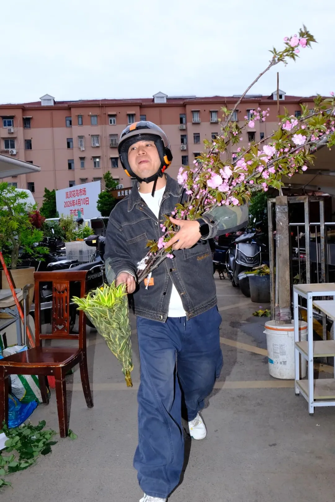 最后的岚灵花鸟市场