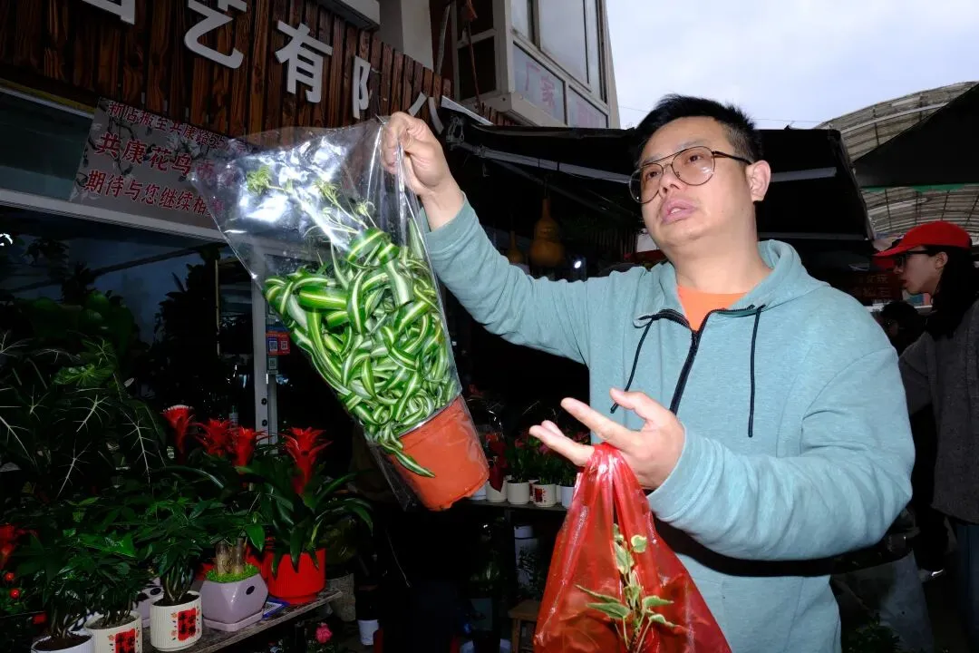 最后的岚灵花鸟市场