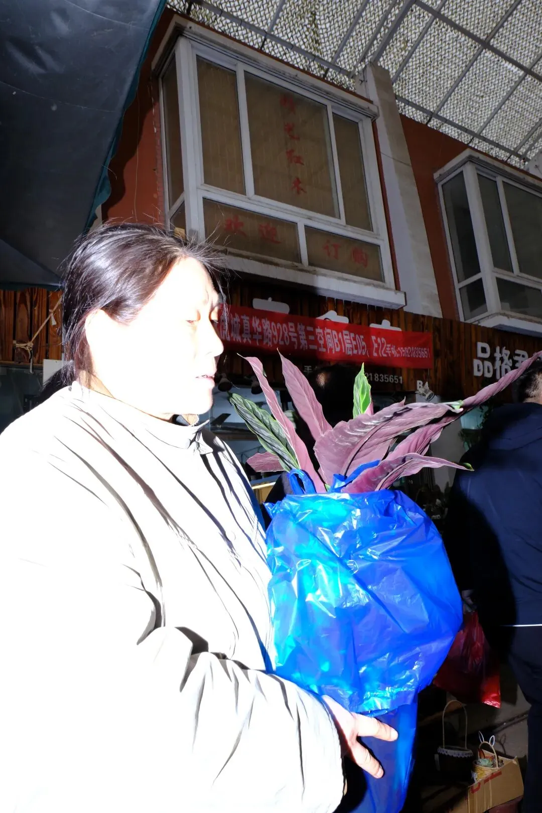 最后的岚灵花鸟市场