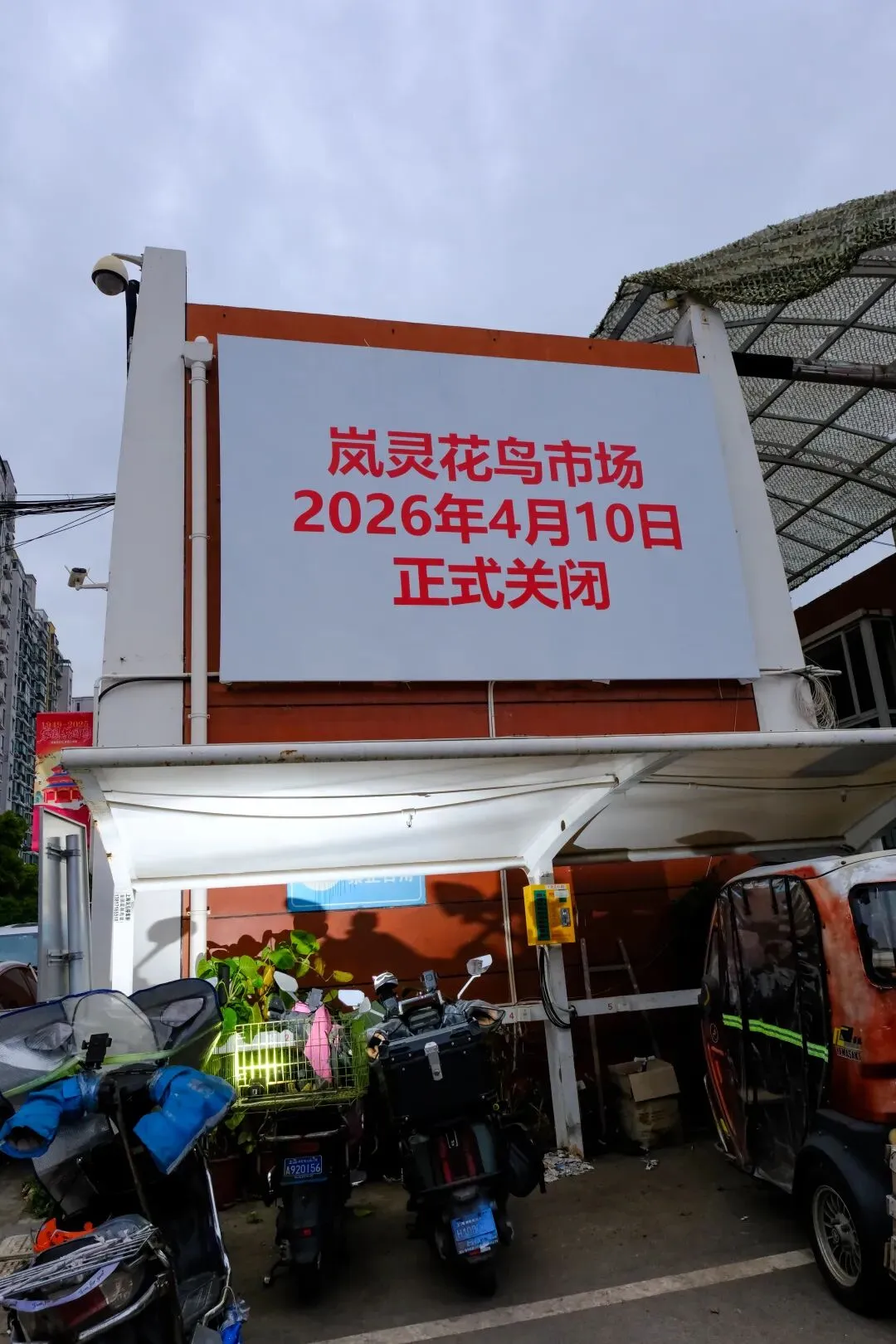 最后的岚灵花鸟市场