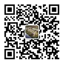 传统营销正在失效?120+企业抢先布局AI新赛道!这场活动引爆临朐