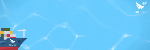 五一空运市场剧变!东南亚/大洋洲航班大面积取消,欧洲航线逆势加码!