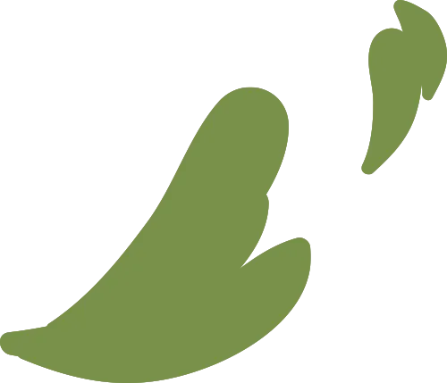 2026年150D低弹丝市场趋势洞察:把握行业脉搏