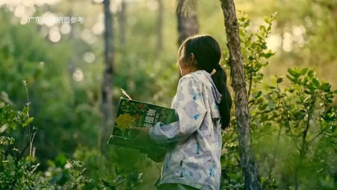 2025【创意营销】雷士照明「拾光计划」年度汇总片创意方案