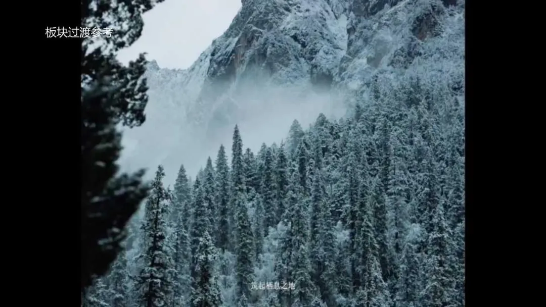 2025【创意营销】雷士照明「拾光计划」年度汇总片创意方案