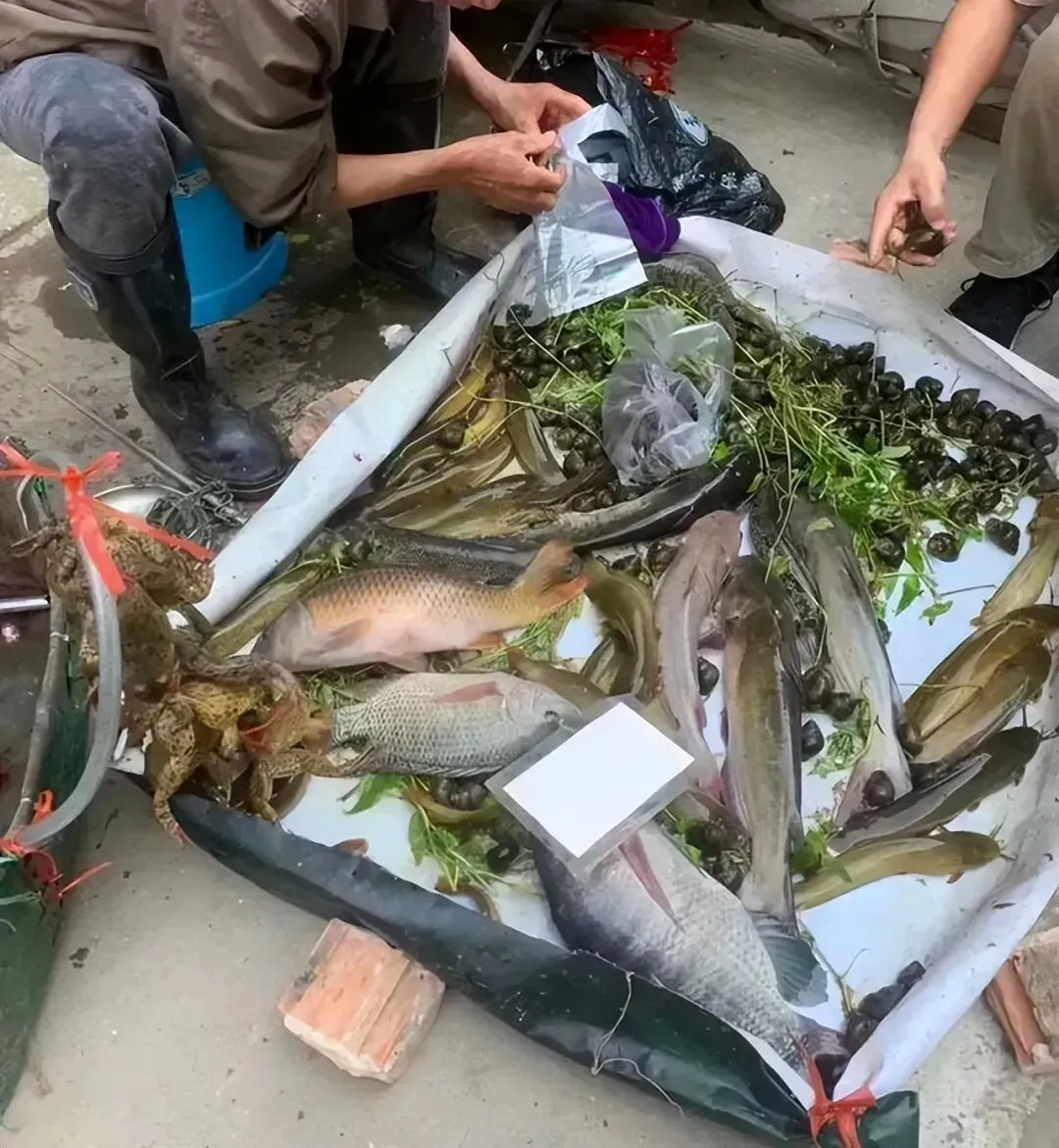 市场买东西,只要摊主跟你说出这句话,最好不要买