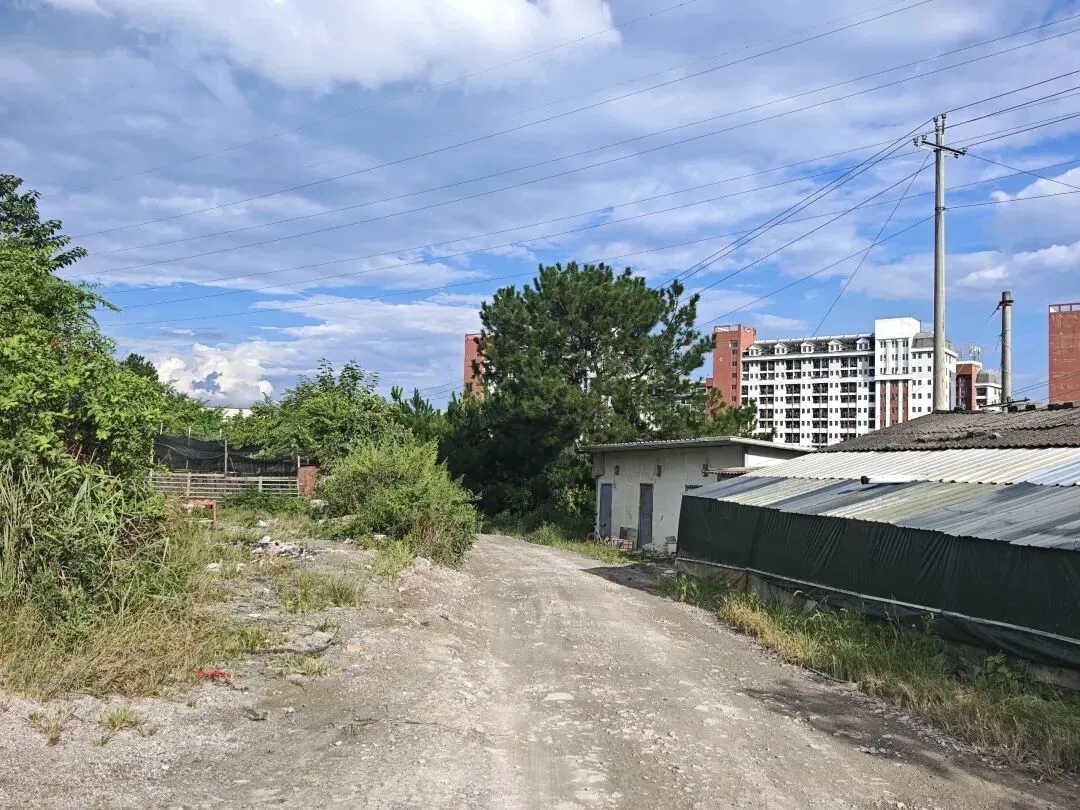 38号文件落地,土地市场变天了!贵州大学西校区这300亩地,价值即将翻倍