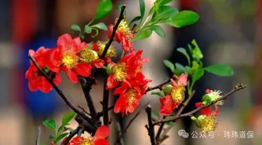 【销售技巧】让你永远不会词穷的说话技巧,即兴表达的思维与套路