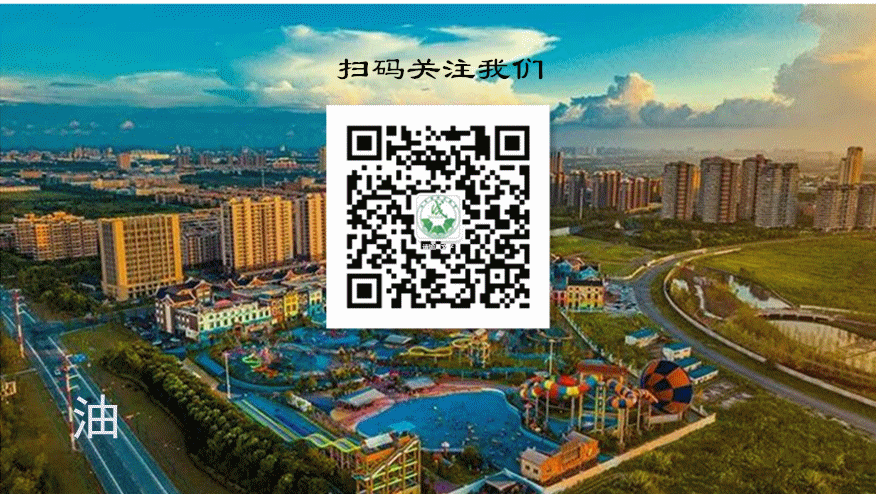 匠心传面点 智赋新销售——油车港镇成校开展技能培训班