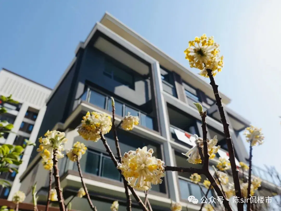 地产资讯:2026年3月南京市房地产市场运行情况