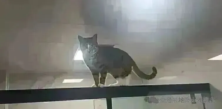 地产资讯:2026年3月南京市房地产市场运行情况