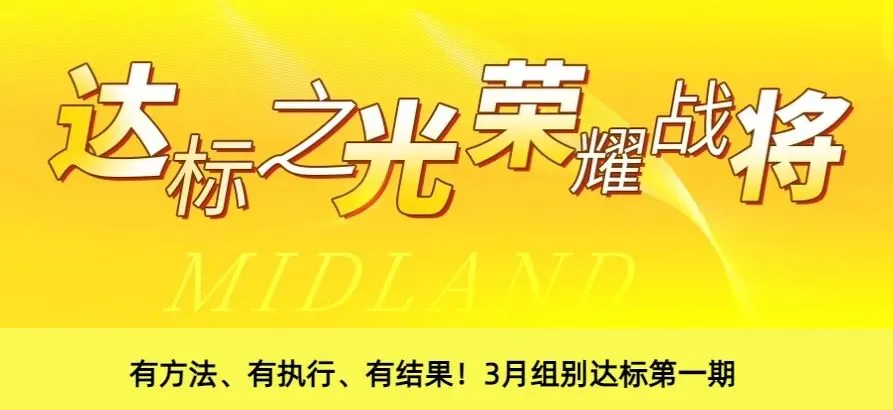用强执行,赢战市场!两大片区率先盈利,不负奋进