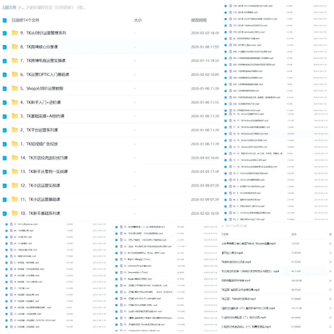 2026做TK 东南亚市场详解:新手优先选这 3 国,利润 & 出单双丰收(附运营策略)