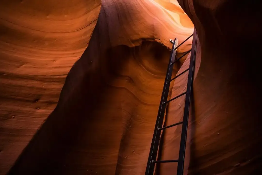比五星好评更有效的营销实证