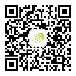 (2026.4.16)泰兴市场每日菜价