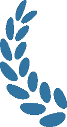 2026 年制氮机市场发展现状与趋势浅析