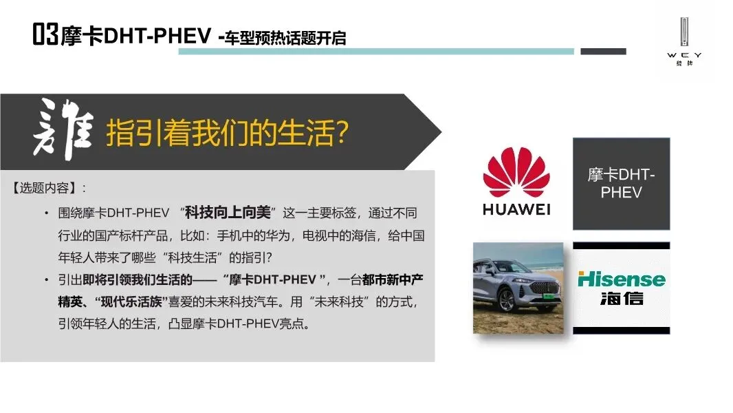 魏牌WEY汽车区域营销方案,太牛了!