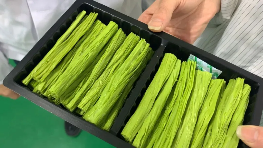 九三分公司:强化市场营销 助力企业发展