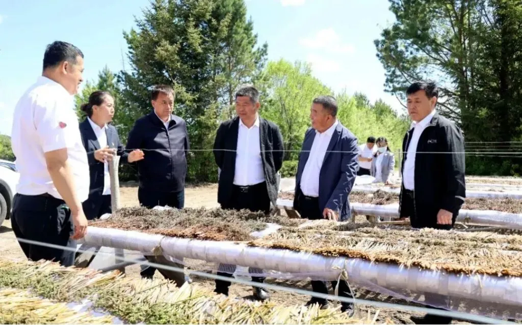 九三分公司:强化市场营销 助力企业发展