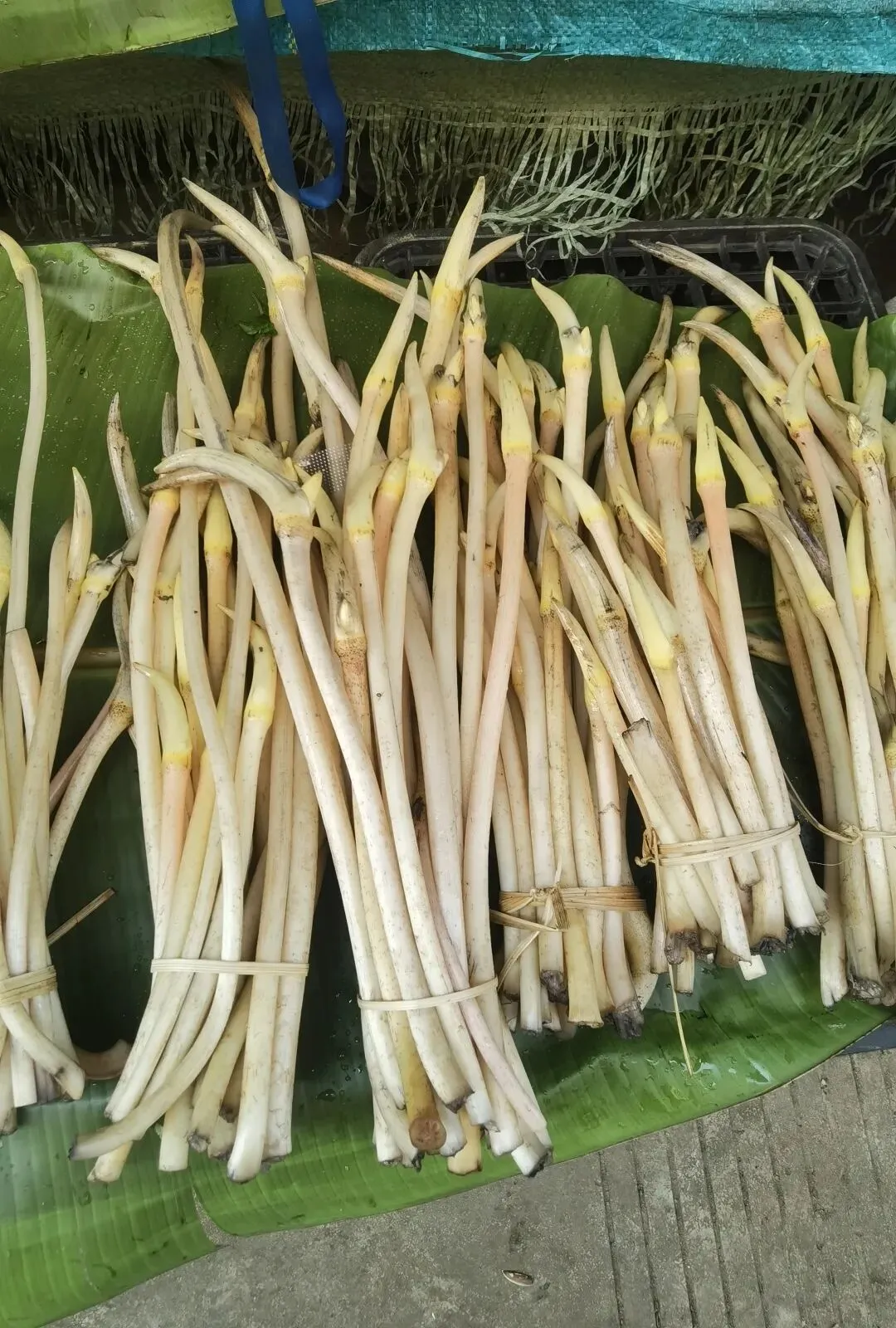 走,逛沧源农贸市场去(之三)