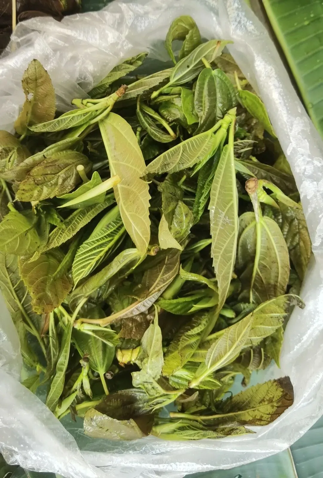 走,逛沧源农贸市场去(之三)