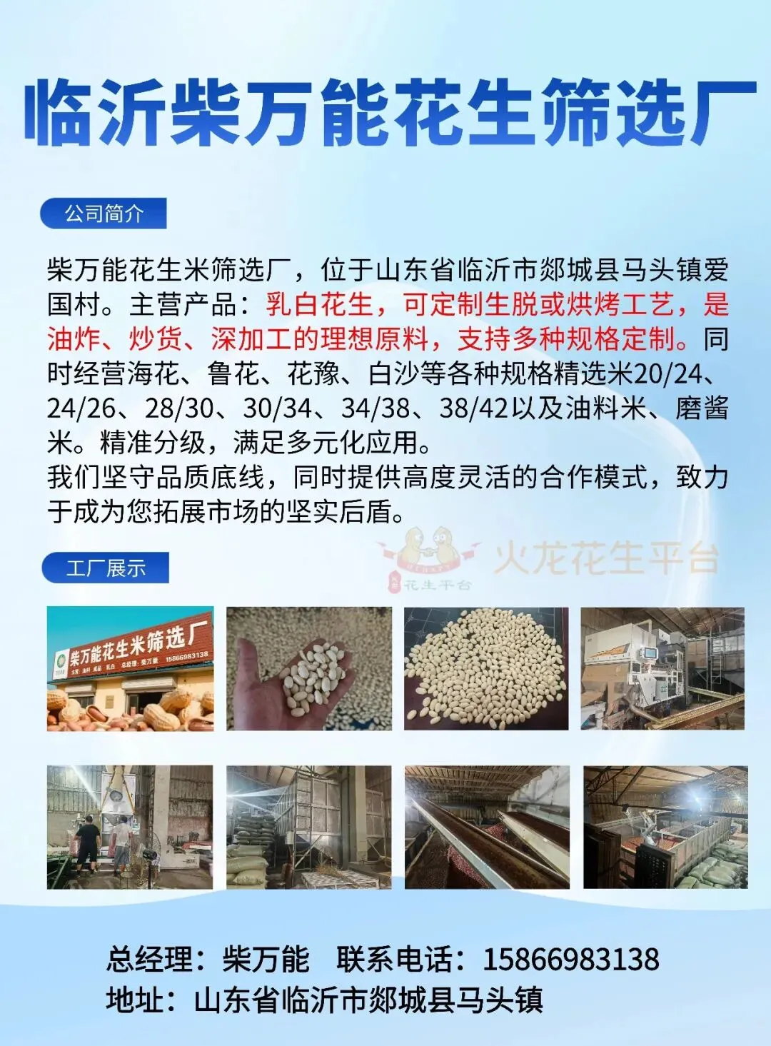 花生价格弱势调整,市场信心不足,油厂频频施压,市场需求疲软.