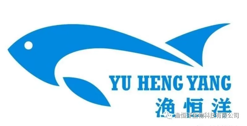 用维生素B12识破市场上的假多维