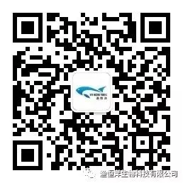 用维生素B12识破市场上的假多维