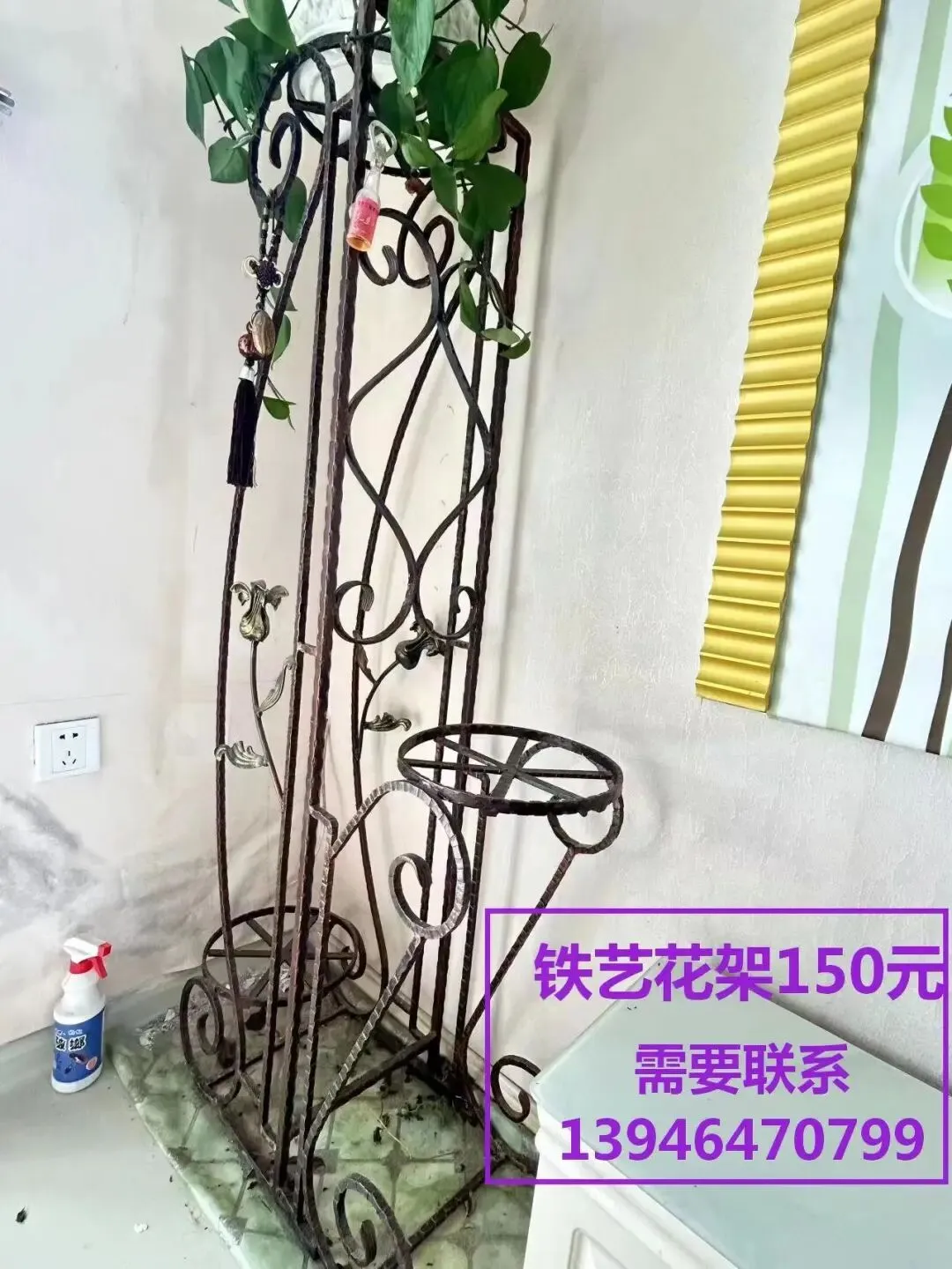 汤原买卖市场信息丨4月16日