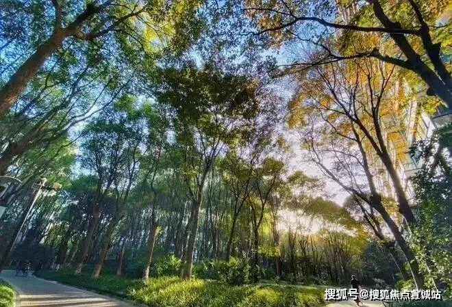 中鹰黑森林 | 中鹰黑森林 (营销中心) 官网 – 2026销售中心 (售楼处)-楼盘欢迎您 – 价格 / 户型 / 地址 / 环境 / 配套 / 交房时间 / 电话