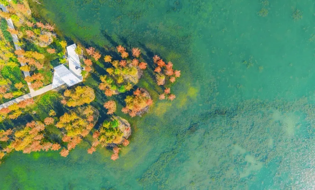谢家集区市场监管局多措并举 严守野生动植物生态与食品安全底线