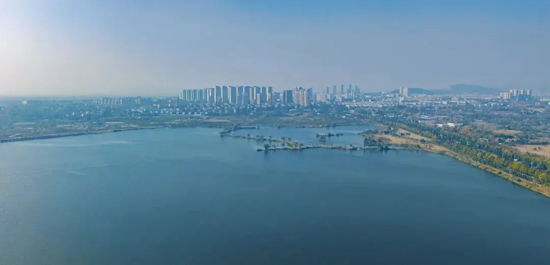 谢家集区市场监管局多措并举 严守野生动植物生态与食品安全底线