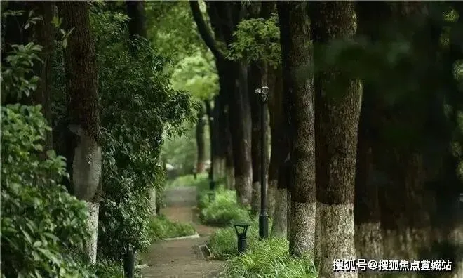 中鹰黑森林 | 中鹰黑森林 (营销中心) 官网 – 2026销售中心 (售楼处)-楼盘欢迎您 – 价格 / 户型 / 地址 / 环境 / 配套 / 交房时间 / 电话