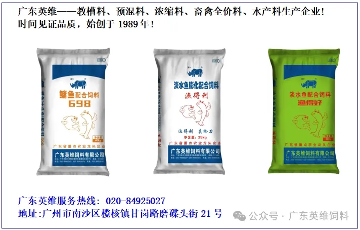 20260416国内生猪市场报价