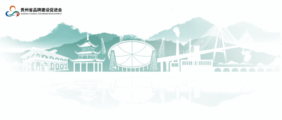 省市场监管行业综合党委领导莅临省品促会党支部调研指导