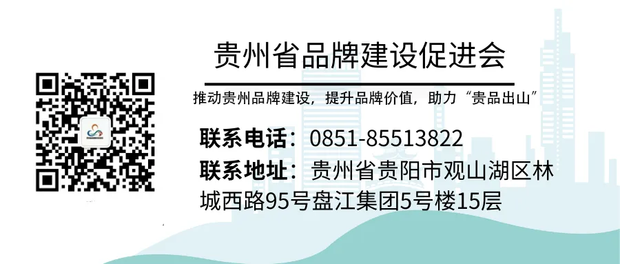 省市场监管行业综合党委领导莅临省品促会党支部调研指导
