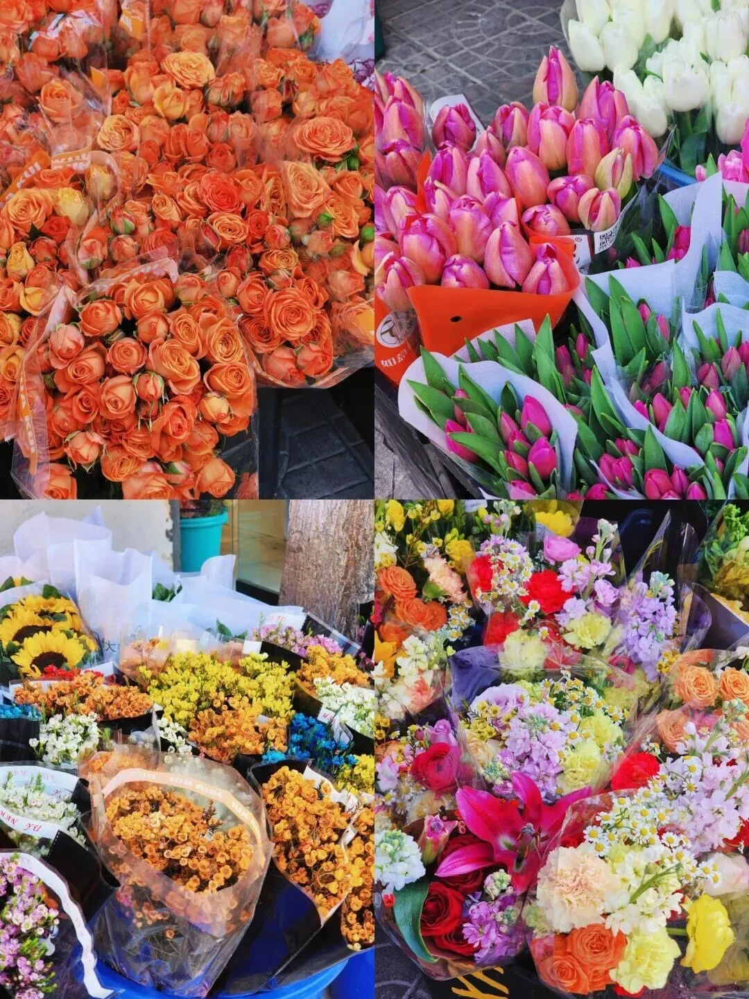 西安花卉市场汇总|一篇搞定买花、拍照、逛市集