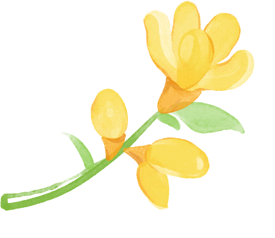 西安花卉市场汇总|一篇搞定买花、拍照、逛市集