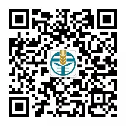 4月20日交易市场竞价交易安排