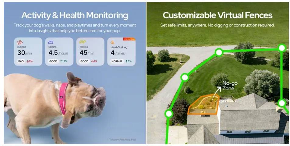 小宠物,大生意:撬动千亿蓝海市场.