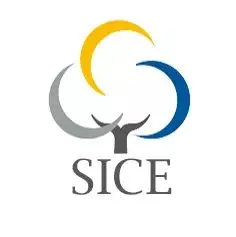 新疆棉花协会 | 棉花市场行情旬报(第139期)