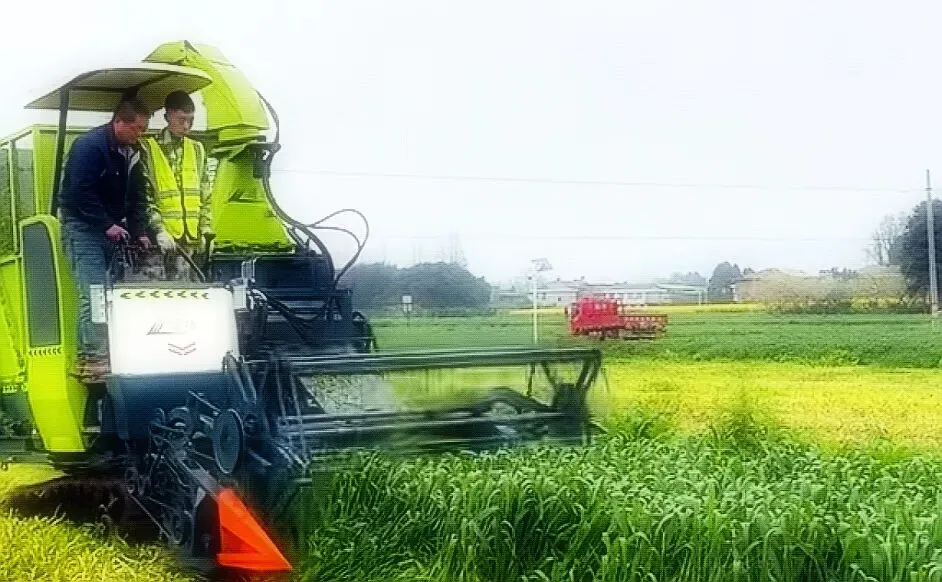 市场经济,让许多国人患上了短视病,沉迷于急功近利挣快钱.延续了几千年的中华传统农业,就是温水煮青蛙似的被洋人打残