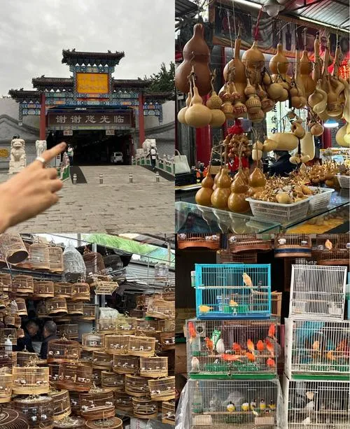 中国最值得逛的10个花鸟市场,逛过3个算生活达人,全逛过是花鸟行家!