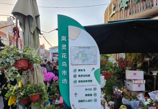 中国最值得逛的10个花鸟市场,逛过3个算生活达人,全逛过是花鸟行家!