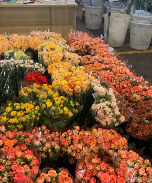 中国最值得逛的10个花鸟市场,逛过3个算生活达人,全逛过是花鸟行家!