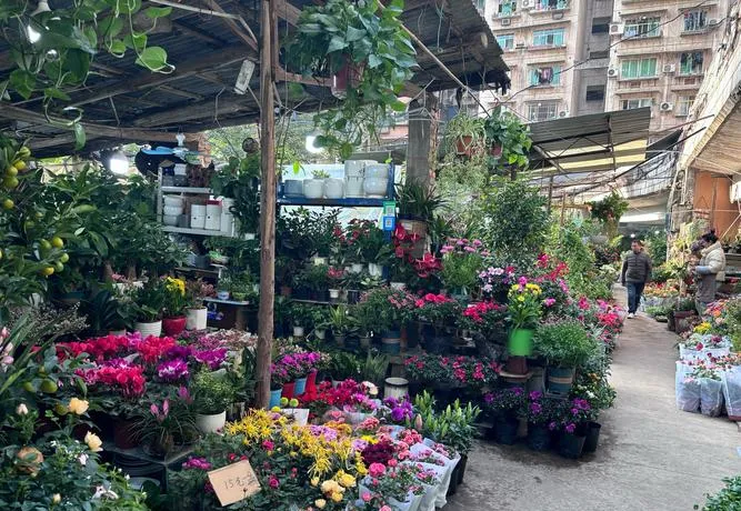 中国最值得逛的10个花鸟市场,逛过3个算生活达人,全逛过是花鸟行家!
