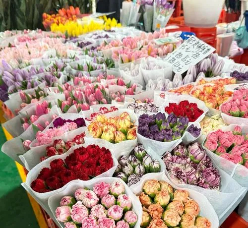 中国最值得逛的10个花鸟市场,逛过3个算生活达人,全逛过是花鸟行家!