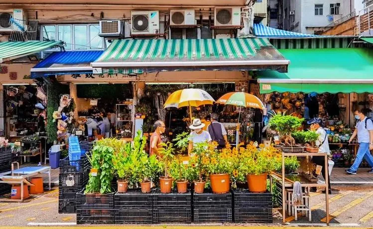 中国最值得逛的10个花鸟市场,逛过3个算生活达人,全逛过是花鸟行家!