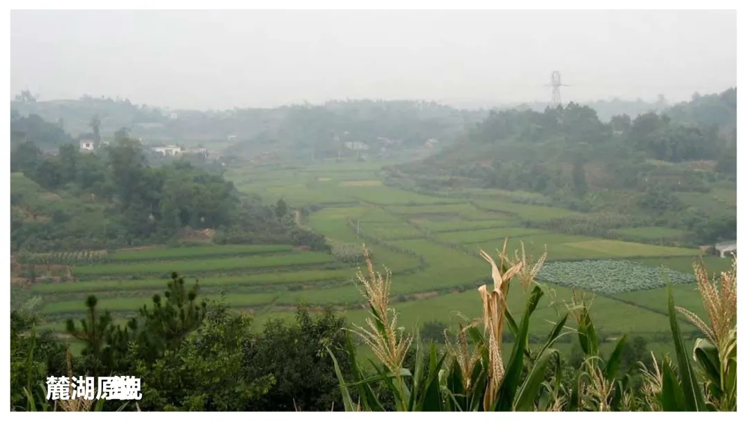 麓湖生态城10年发展历程发展战略及营销观