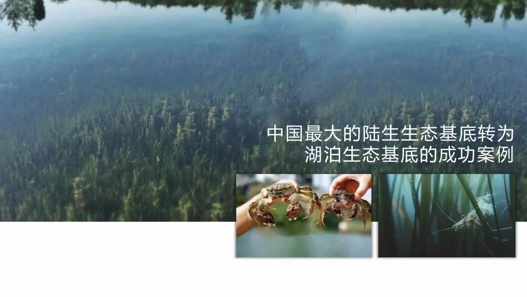 麓湖生态城10年发展历程发展战略及营销观